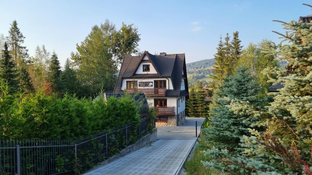 Gosciniec Skorusa Kościelisko Exterior foto